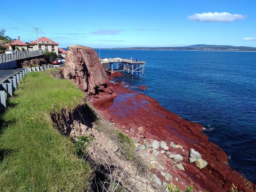 Como Lodge Merimbula Bagian luar foto